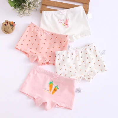 4PCS/LOT Kids Girls Cotton Panties Children Underwear Briefs 3-9Yrs CHU001-1