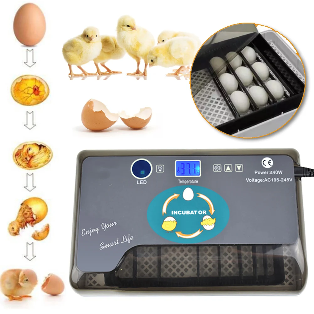 

12 Eggs EU Plug Incubator Smart Digital Egg Hatcher Household Intelligent Egg Incubators for Poultry Quail Chicken Duck Goose