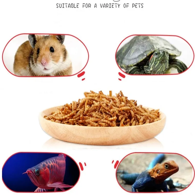 Сушеный аквариум 500 мл Mealworm пруд для аквариума рептилии дикая птица еда хомяк