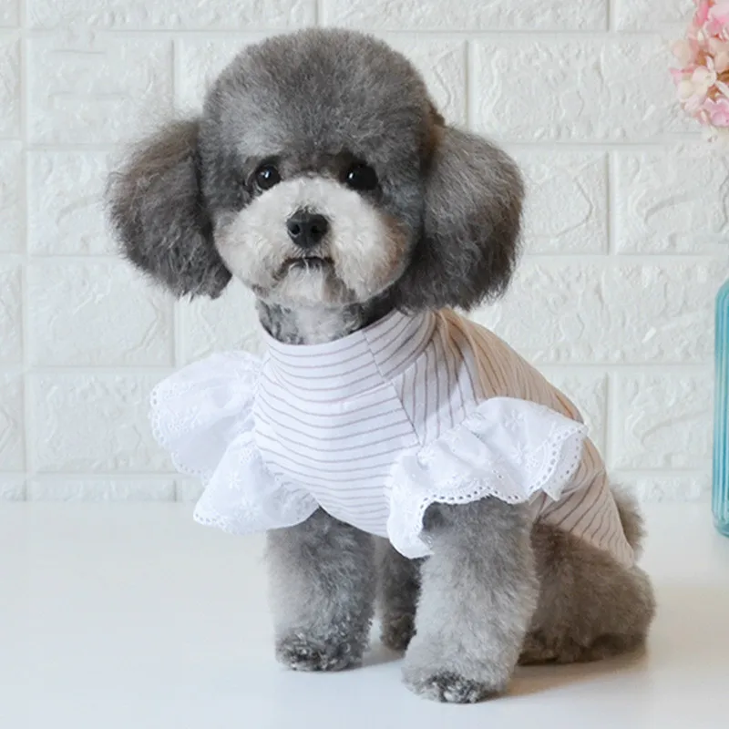 

Полосатая футболка для собак, модная рубашка с оборками для собак, летняя одежда для чихуахуа для девочек, полосатая рубашка для собак