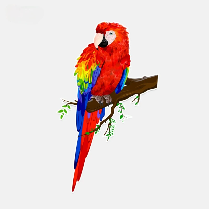 

Funny Animals Decal Beautiful and Colorful Parrots Personalized Decor Colored PVC Car Sticker 9.9CM*16.7CM