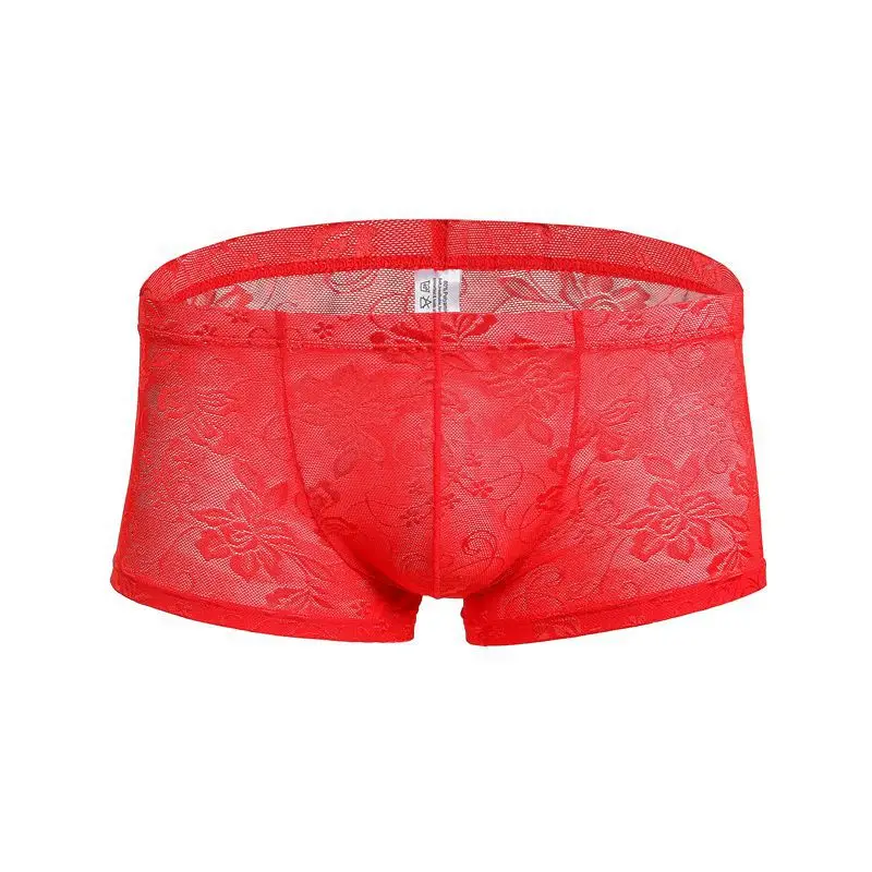 5PC Sexy Men Underwear Boxers Transparent Men's Trunk Mesh Breathable Men Mesh Lace See Through Lingerie Sexy Boxer Shorts