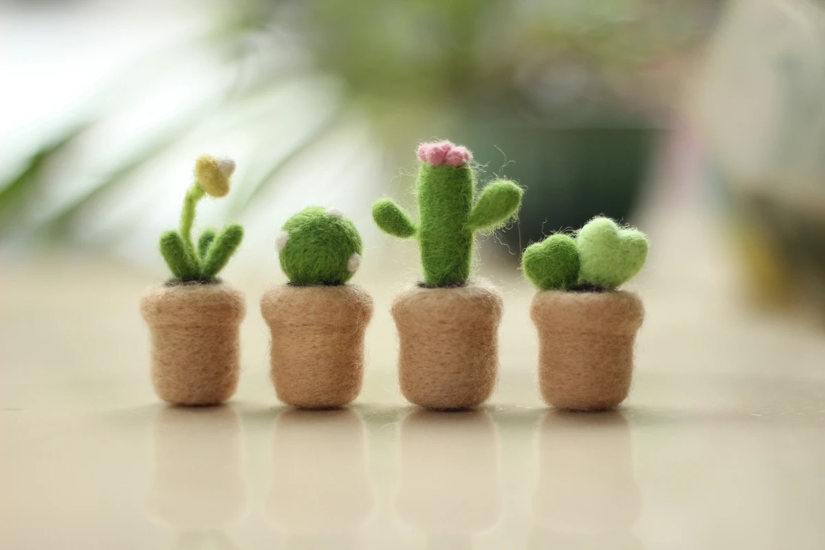 Иглы для валяния комплект мини кактус начинающих вязальные иглы Инструкция DIY