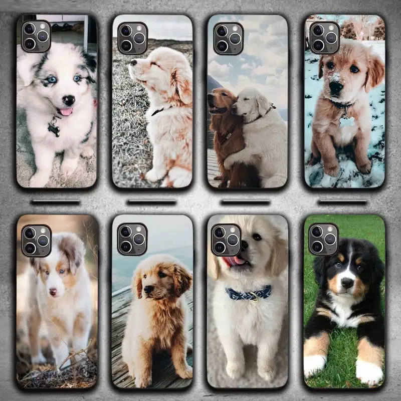 

golden retriever Cute dog Phone Case for iPhone 13 11 12 Pro X XS XR Samsung A S 10 20 30 51 Plus pro Max mobile bags coque