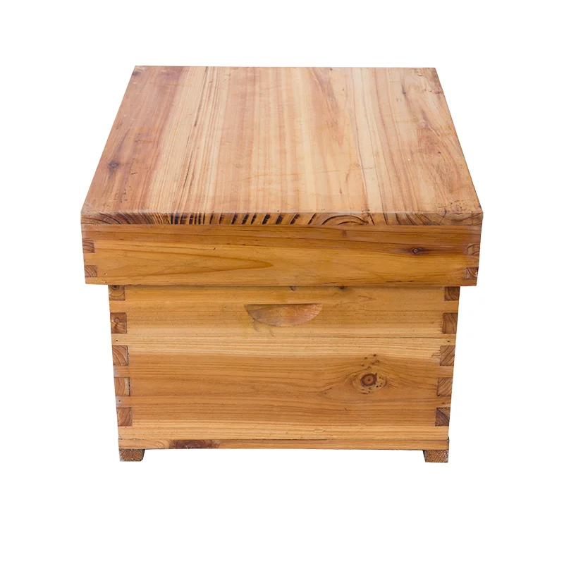 Вощеный одноуровневый улей и 5 шт. оснований для основы пчелового воска в рамке