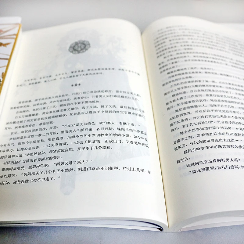 Новая китайская книга Цзе цзы Юхуа Санли история маленьких людей фантастический