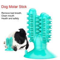 chew toy dog toothbrush pet molar tooth cleaning brushing stick dental care pet effective tooth brush self dispensing toothpaste