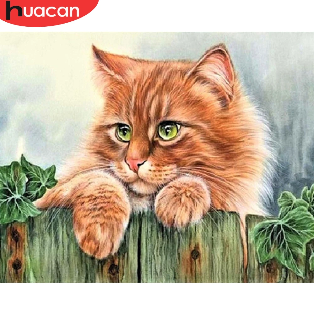 HUACAN живопись милые кошки DIY Arcylic картинки по номерам на холсте Безрамное