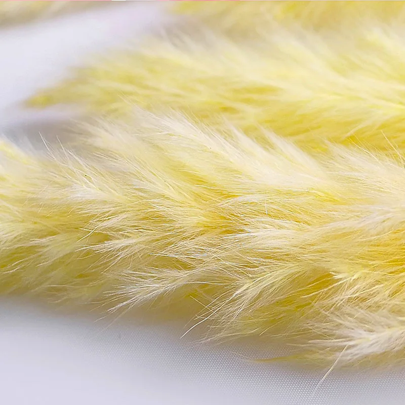 Горячая 15 шт. сушеные небольшие пампасы трава Phragmites украшения для дома отеля свадьбы TI99