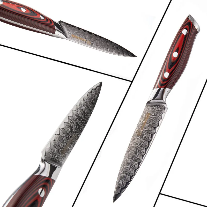 

Grandsharp Steak Knife Sets 4 Pcs Damascus Kitchen Knives 67 Layers vg10 Japanese Damascus Steel Utility Fruit Knives Gift Box