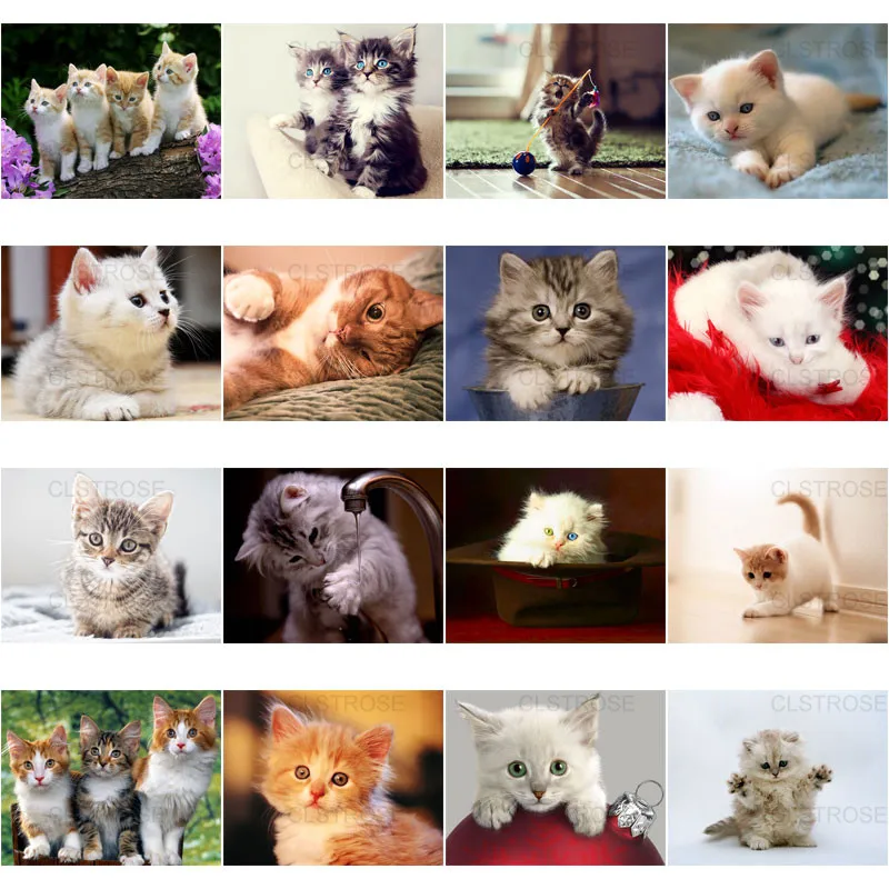 

5D Diy Diamond Painting for The Kitten Home Wall Decoration Inside The Army Hat with Diamond Embroidered Square Diamonds