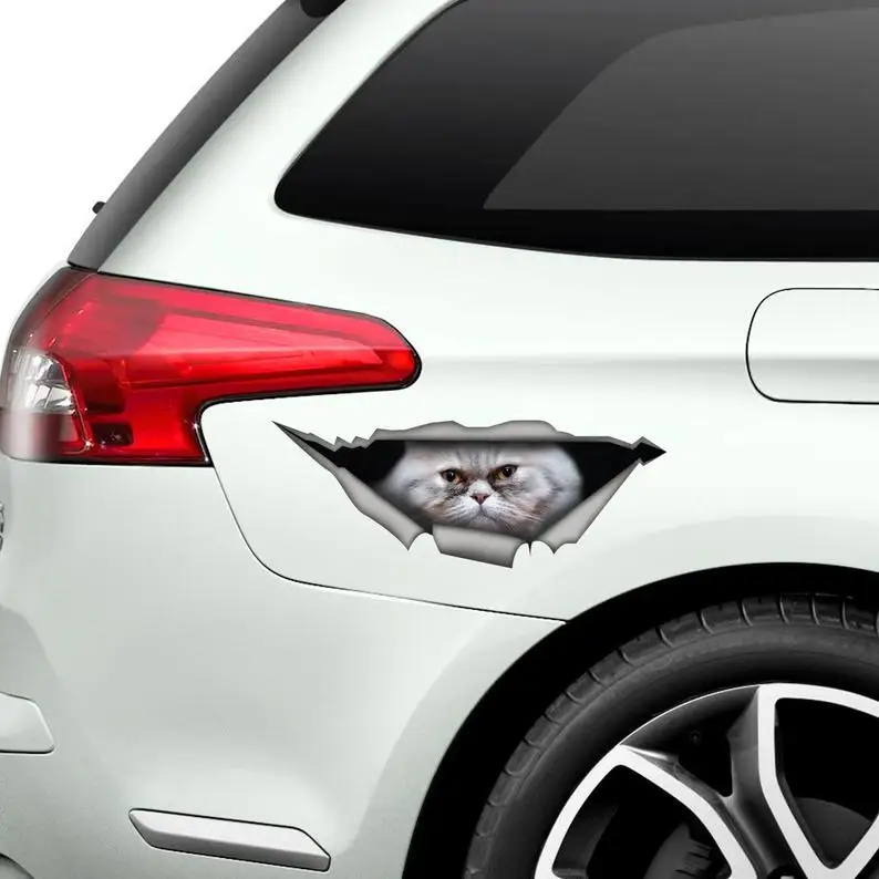 

2021 Funny Persian cat car sticker, cat car decal, grey Persian cat magnet