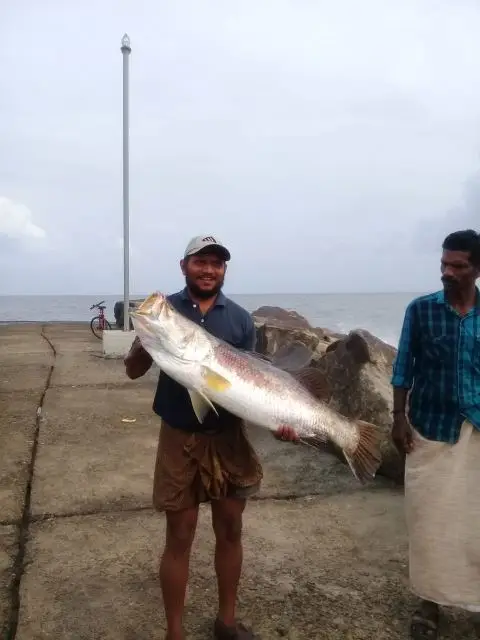 HOOFISH, 3 шт./лот, Поппер, приманка для рыбалки, 26 г/12,5 см, 8 цветов, для поверхности воды, карандаш, жесткая приманка, искусственная приманка