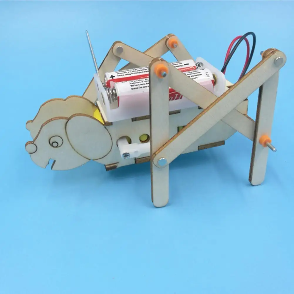 

Handmade Toy Practical Ability Observation Wood Physical Science Learning Kit for Kids развивающие игрушки