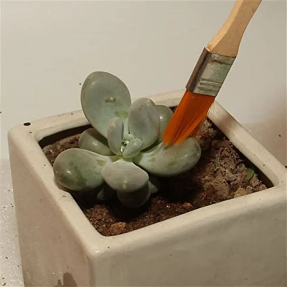 

30pcs/set Miniature Gardening Hand Tools Set Succulent Transplanting Fairy Garden Planting Tool