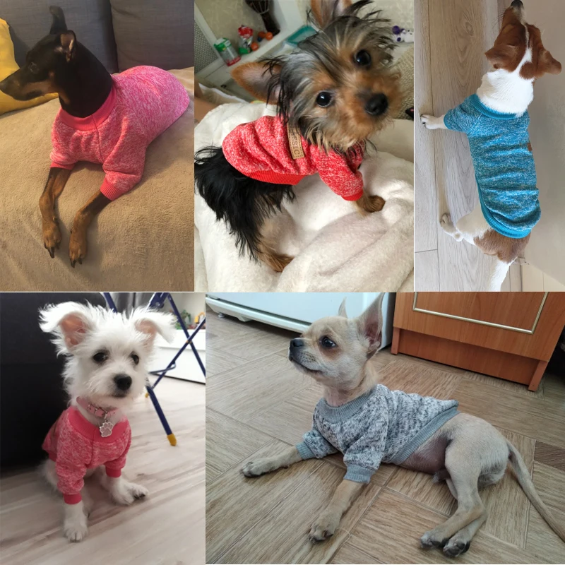 New Pet Coat Dog Jacket Winter Clothes Puppy Cat Sweater Clothing Apparel Doggie Chihuahua Yorkie Bichon Dachshund | Дом и сад