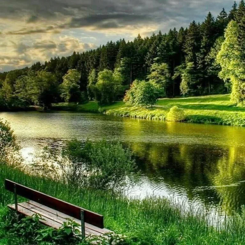 5D алмазная Картина пейзаж лес полный квадрат Алмазная мозаика продажа картина