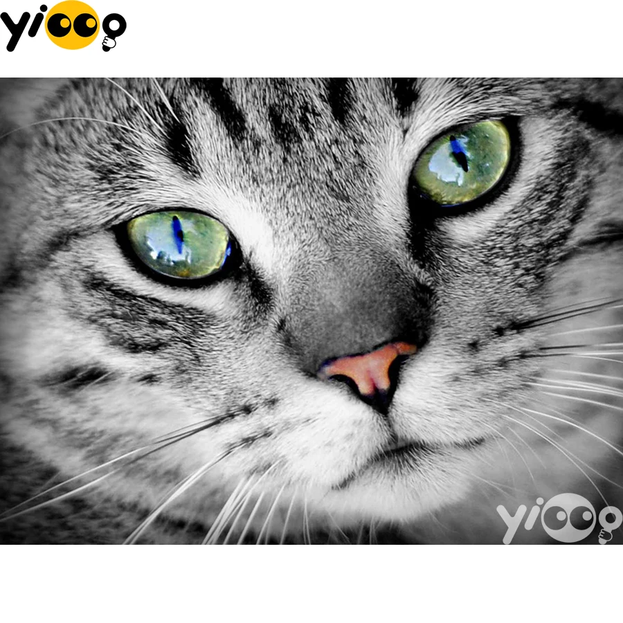 

Full Square/Round Diamond Embroidery Cat Eyes 5D Diamond Painting Rhinestone Mosaic Home Decor Gift BX2405