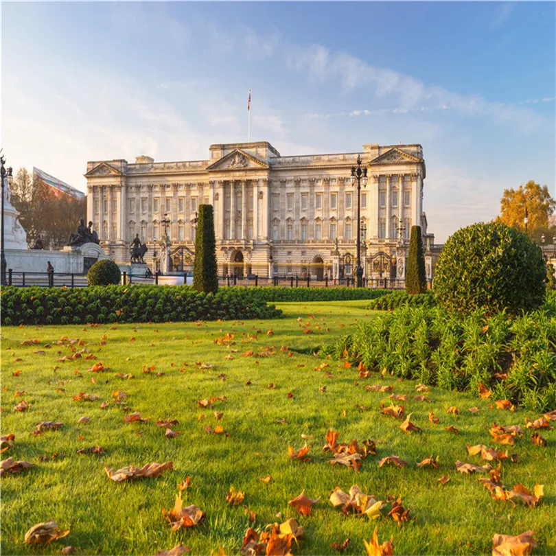 Виниловый фон Nitree реквизит для фотосъемки пейзаж Путешествия Замок море трава