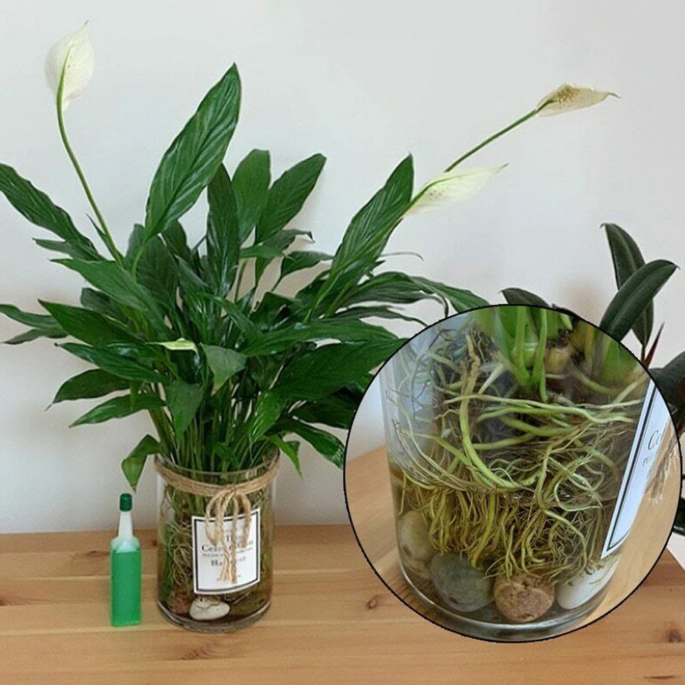 

38ml Bamboo Flower Fertilizer Potted Green Concentrated Foliar Seed Fertilizer Concentrated Foliar Seed Fertilizer Hot New