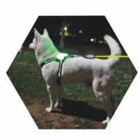 cc simon led dog harness usb rechargeable multicolor large dog 2020 new