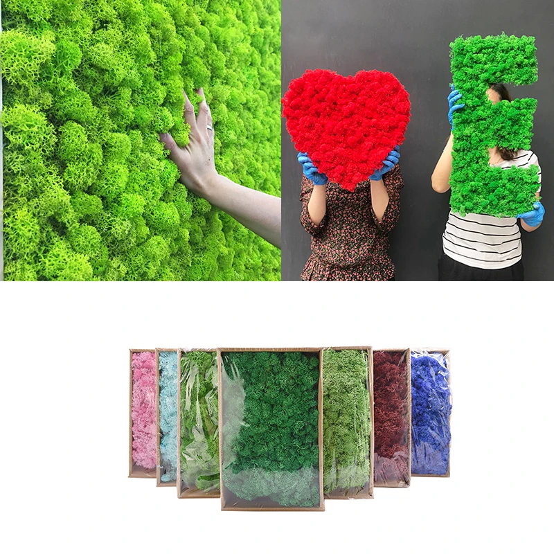 

20/40g Artificial Moss Natural Green Plant Creative Home Background Wall Garden Decoration DIY Flower Arrangement Accessories