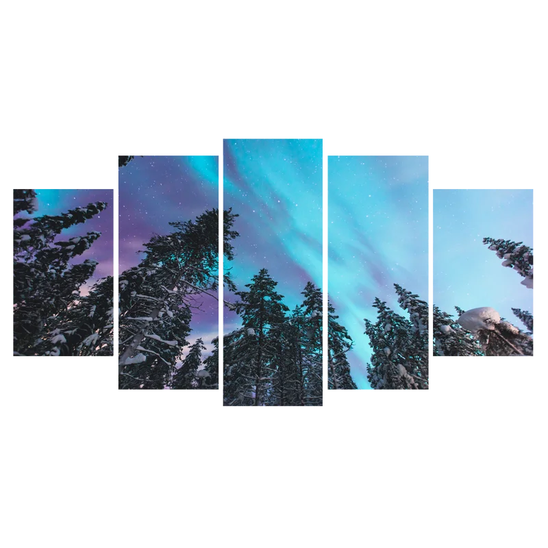 5 панелей холст настенная живопись фиолетовая Аврора на лесу печать домашний