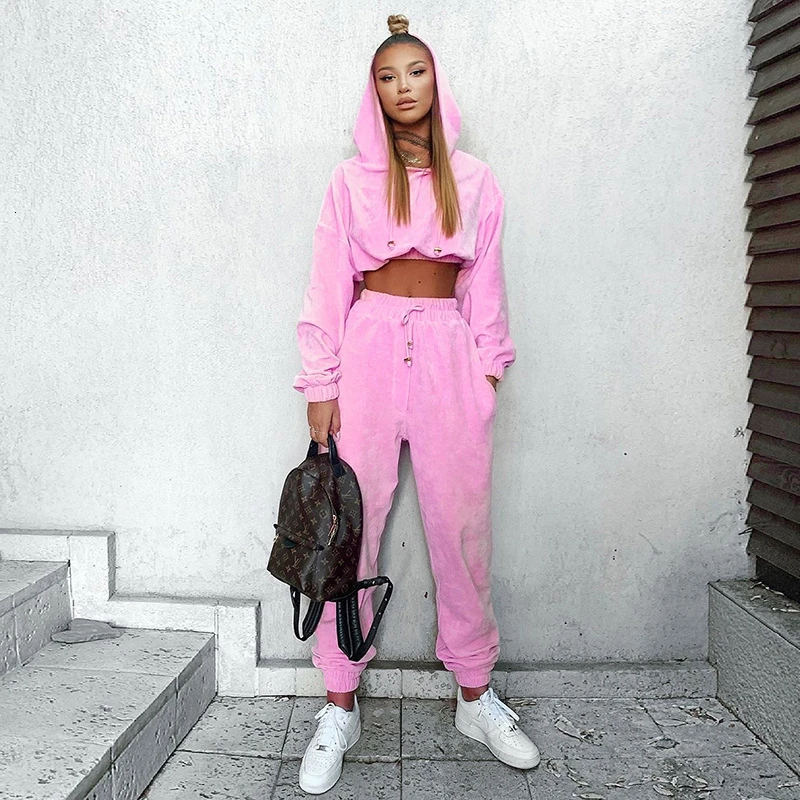 Sweatsuit Tracksuit Solid Velvet Hooded Women Two Piece Set Crop Top and Harem Pants Casual Jogger Autumn Sexy Sportswear TZ04 |