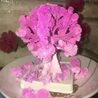 2020 89x73 мм розовое визуальное искусственное магическое дерево Сакура декоративное растущее сделай сам бумажные деревья мозг снятие стресса подарки научные игрушки