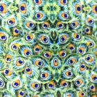 50*145 см Павлин 100% чистый хлопок или полиэстер хлопчатобумажный материал лоскутное шитье одеяло искусственное одеяло рукоделие ткань для рукоделия