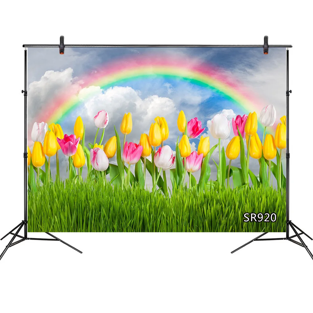 Голубое небо Радуга зеленая трава тюльпан цветок фон для фотосъемки весенний