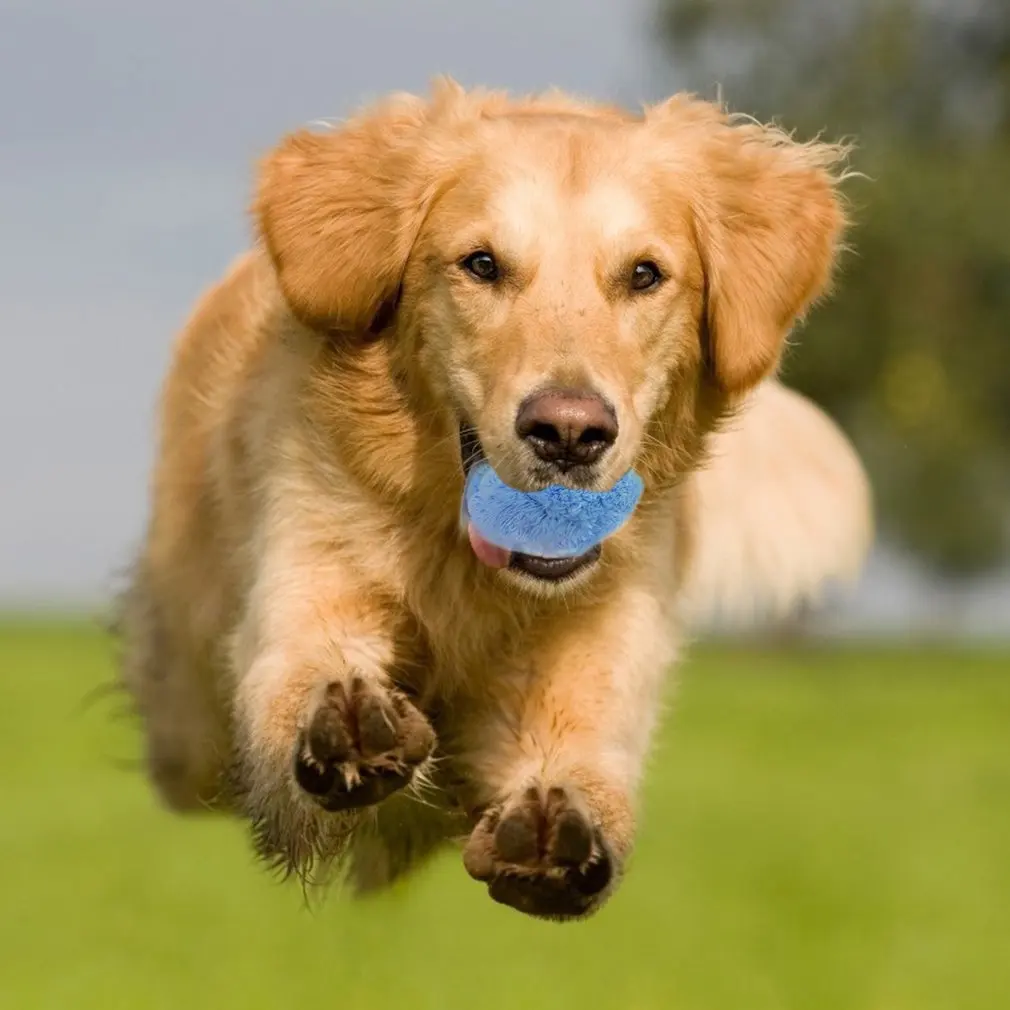 

Pet Electric Toy Ball Magic Roller Ball Toy Automatic Roller Ball magic ball Dog Cat Pet Toy Need To Use Battery 5pcs/Set