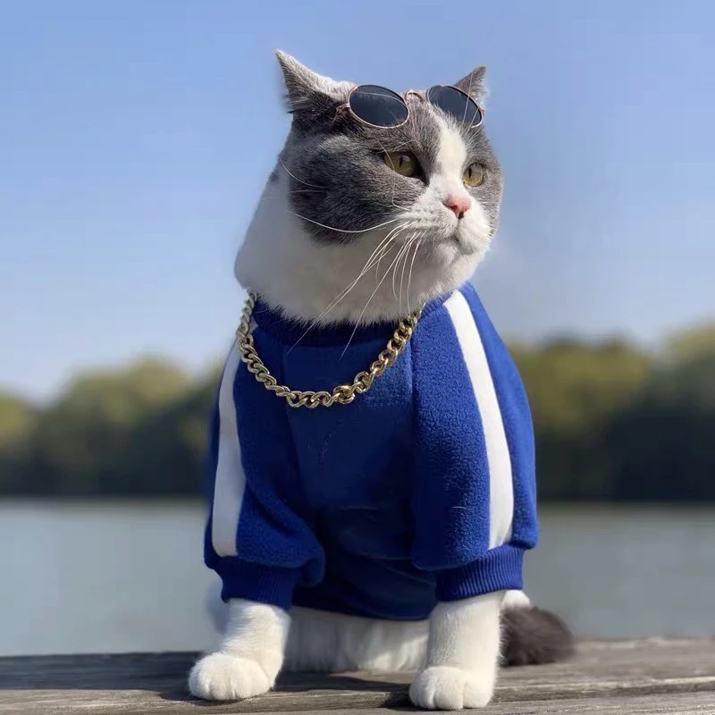 Модная толстовка с капюшоном для собак Спортивная стильная одежда кошек теплая