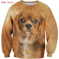 cavalier king charles spaniel 3d printed hoodies pullover boy for girl long sleeve shirts kids funny animal sweatshirt 05