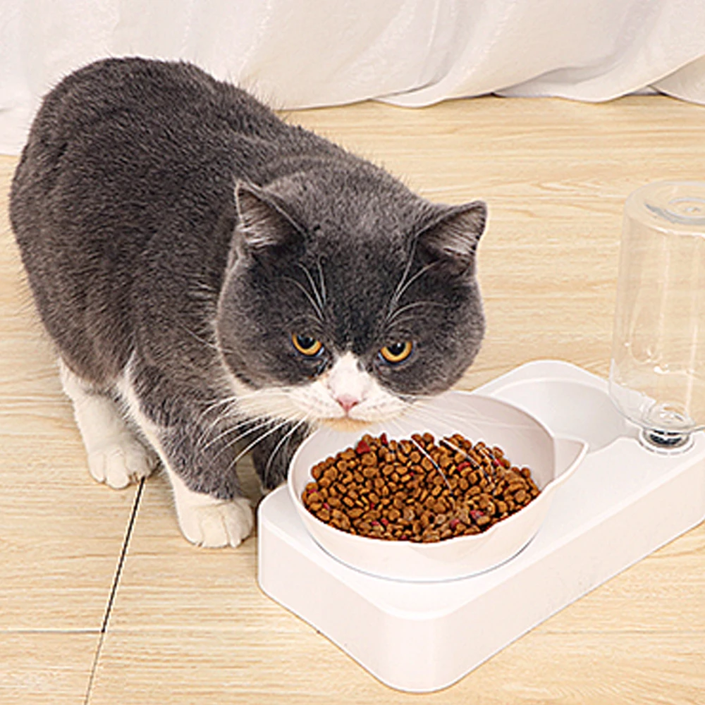 Двойной Порты и разъёмы миска для кормления домашних животных Пластик двойной