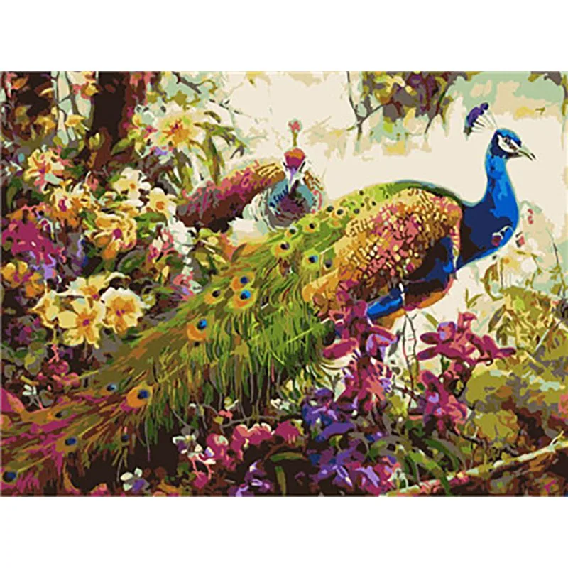 Paint by Number3 Павлин краски по номерам Schilderen op Nummer холст Lienzo для взрослых раскраска Pintura por Numero DIY - Цвет: Paint by Number3
