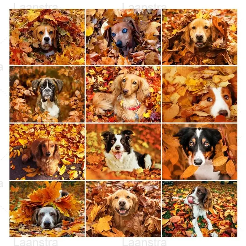 

5D DIY Full Square Round Diamond Painting Animal Dog Autumn Maple Leaves Scenic Diamond Embroidery Cross Stitch Home Decoration