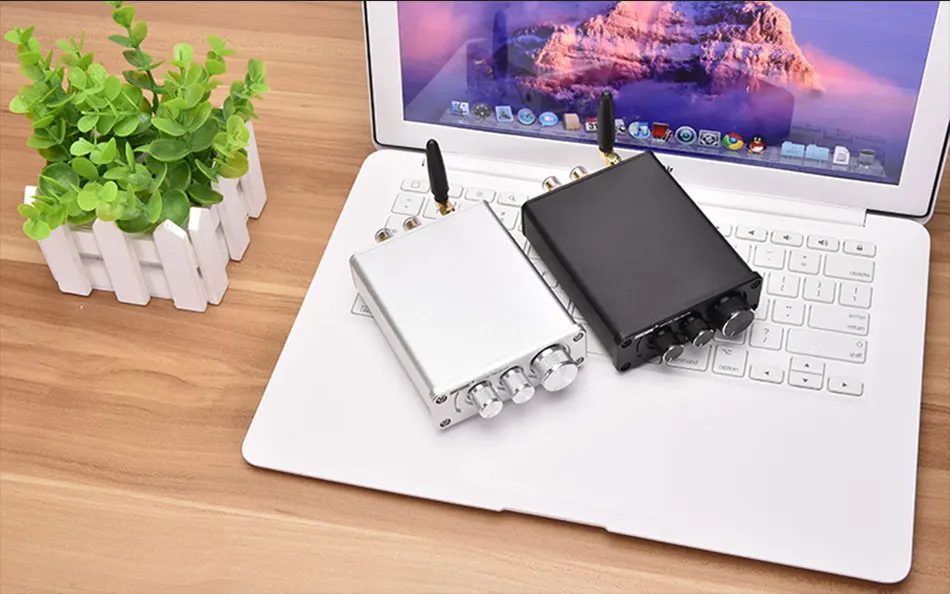 BORIZSONIC TPA3116 Bluetooth 5,0 HiFi усилитель мощности стерео домашний аудио цифровой усилитель с высокими басами