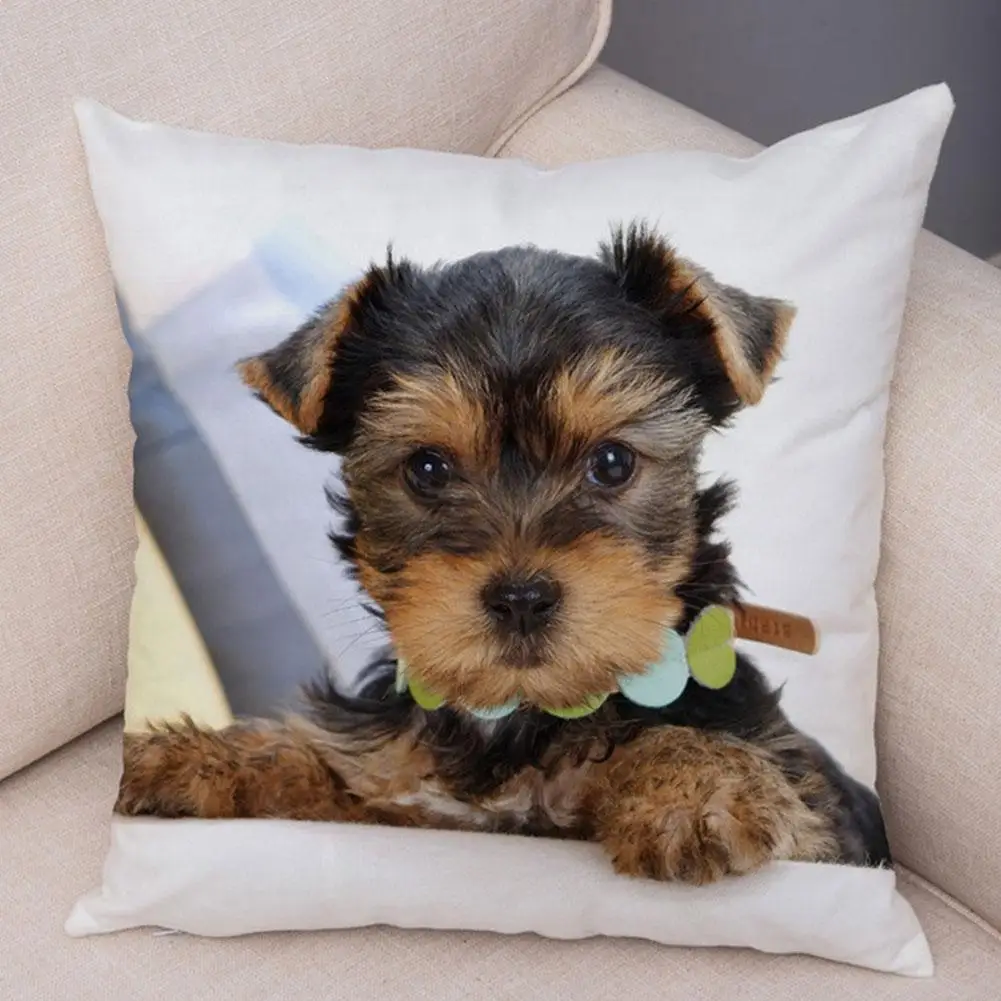 

Cute Pet Printing Home Decoration Pillowcase Square For Sofa Home Car Office Decoration New 45*45 Wholesale