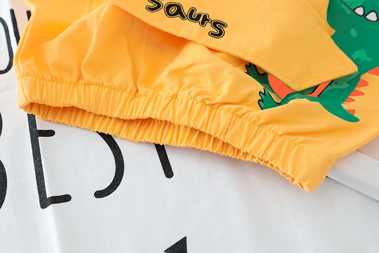 Cute Baby Boy Clothing Set Cartoon Dinosaur 2PCS 2020 New Toddler Boys Letter Print Spring Autumn Outwear |