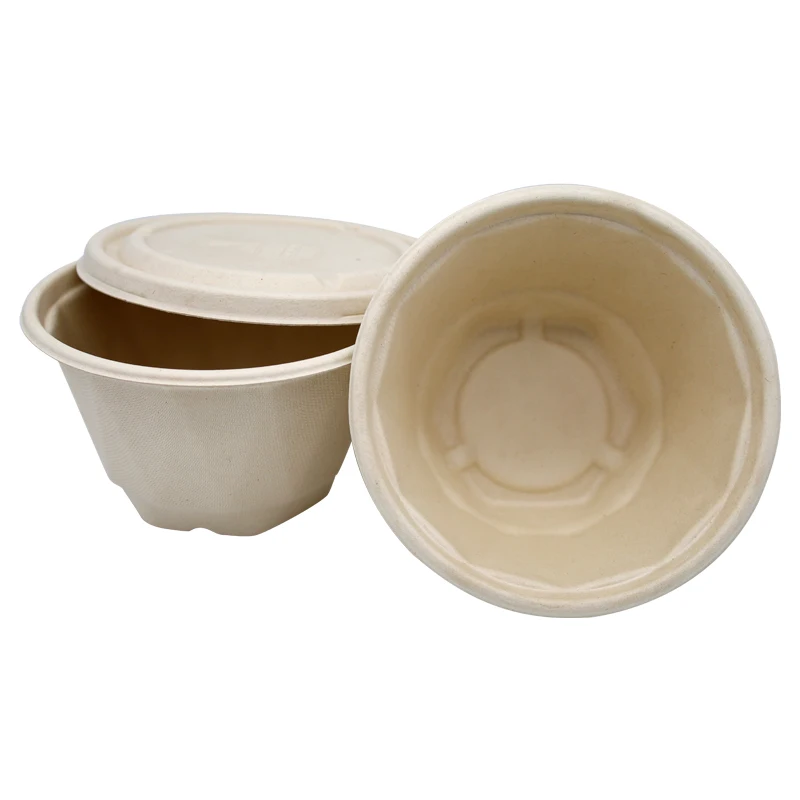 Экологически чистая одноразовая биоразлагаемая посуда сахарный тростник