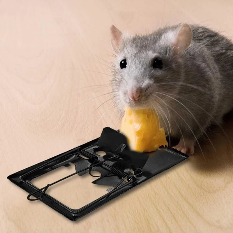 High Qulity Reusable Rat Catching Mice Mouse Traps Mousetrap Bait Snap Spring 8*15cm