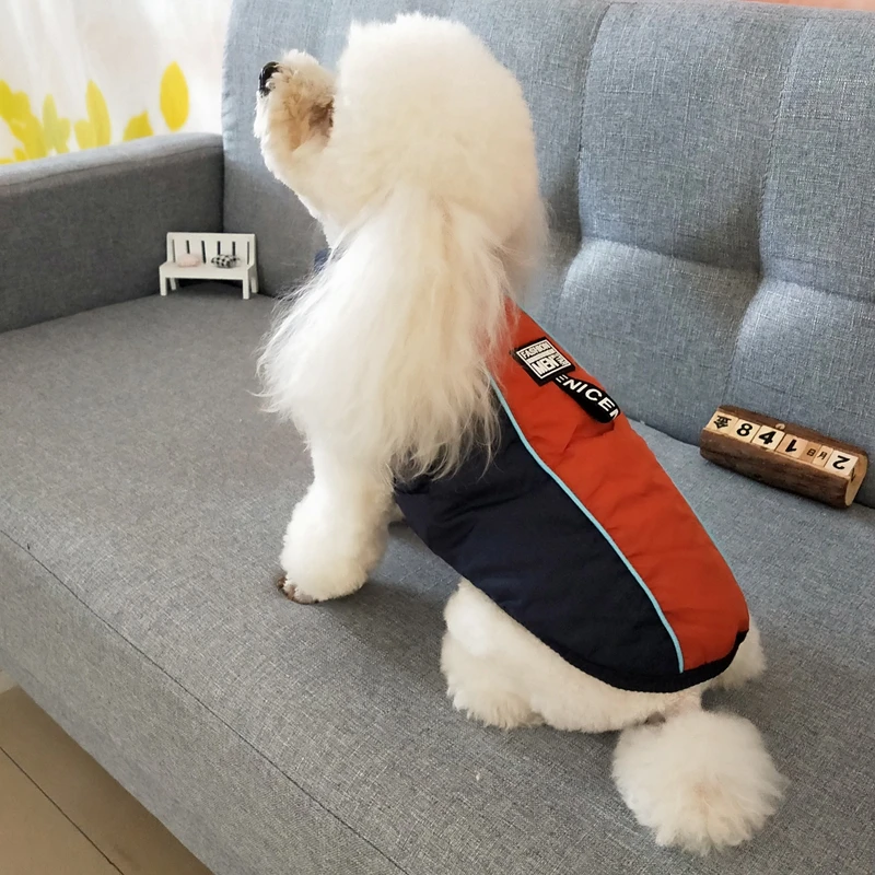 Теплая хлопковая куртка для собак зимняя одежда домашних животных чихуахуа Shih Tzu