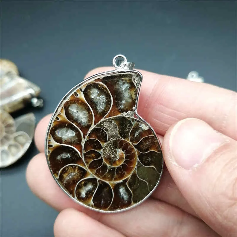Красивый натуральный камень окаменелости аммонита морская раковина подвеска