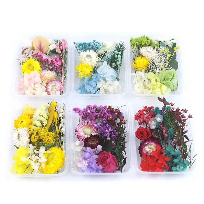 

1 Box Real Mix Dried Flowers for Resin Jewellery Dry Plants Pressed Flowers Making Craft DIY Accessories Home Use