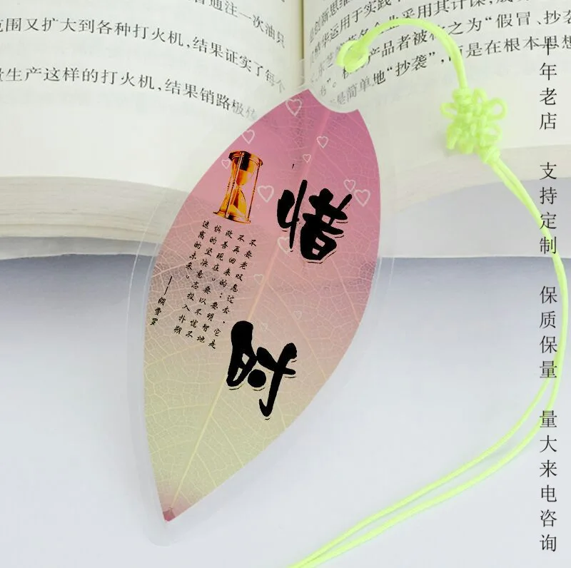 Знаменитости знаменитость каллиграфия обучение вдохновляющие вены закладки