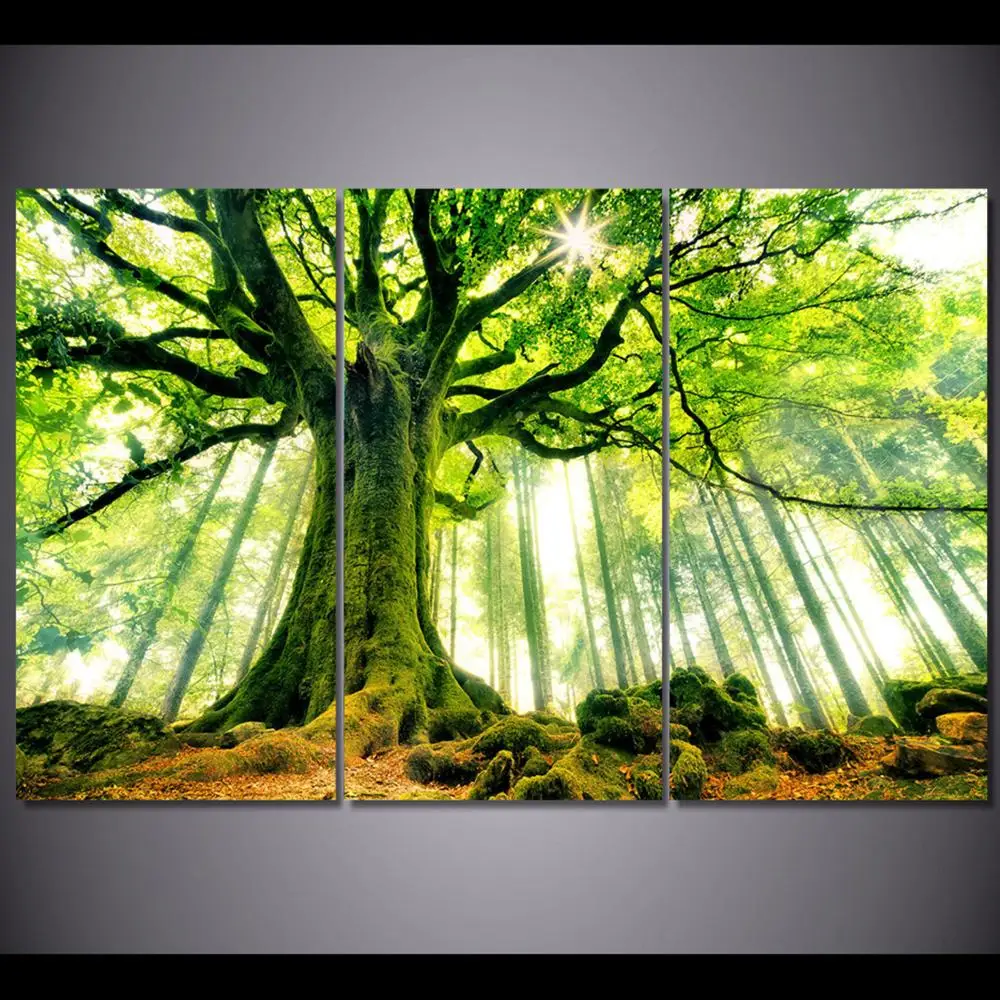 

3 Panel printed painting Canvas Wall Art Picture Home Decoration Living Room Canvas Modern painting LS873