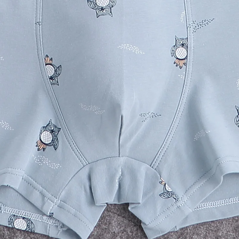 

High Quality Boy Boxers 10-20Years Boy Underwear 10pcs Cotton Kids Panties Baby Children Boxers Solid Briefs Boy Panties