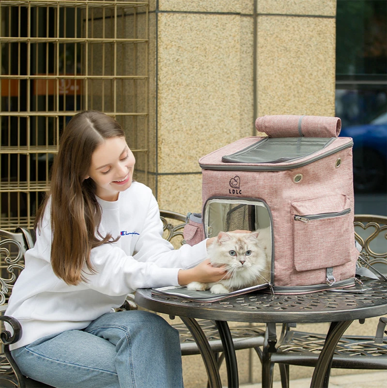 

Outdoor Cat Mesh Carrier Backpack Breathable Pet Bag For Dogs Fashion Portable Carrier Bags Cat Carrier Backpack For Small Dogs