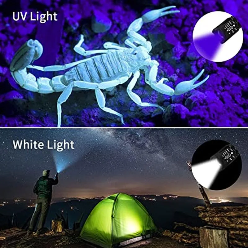 Ultraviolet White Light Dual LED Flashlight Zoom Fluorescent Black Lamp Detection | Лампы и освещение